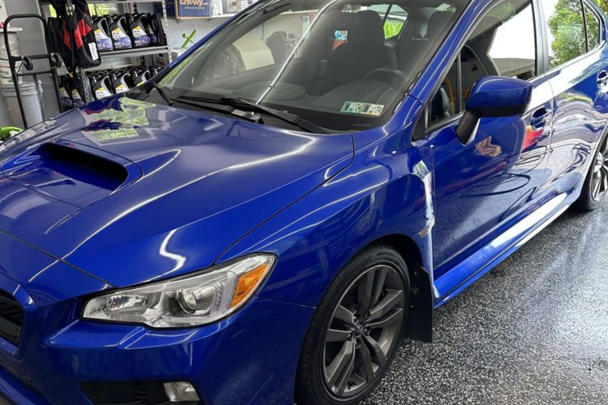 paint protection film 